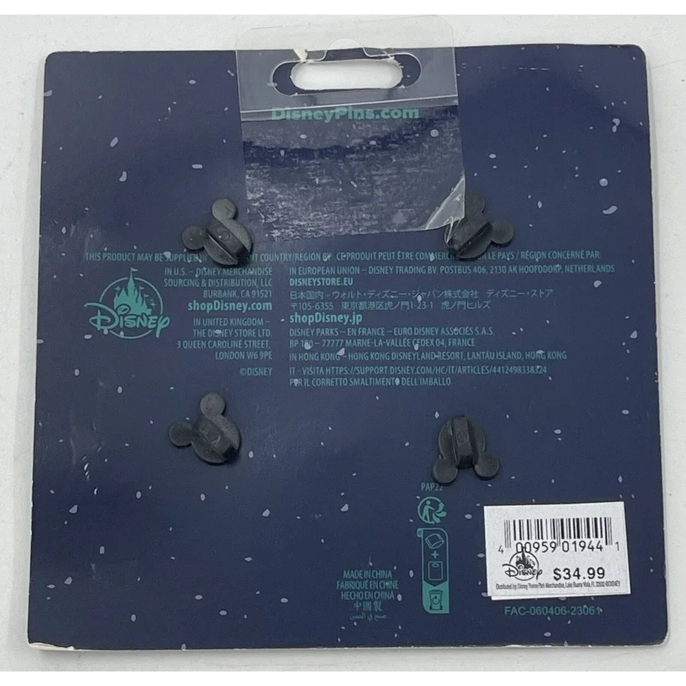 Disney parks pin
